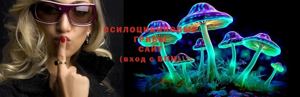 тгк Ладушкин