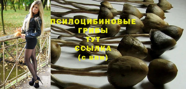 твердый Лабытнанги
