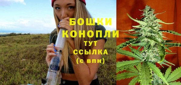 тгк Ладушкин
